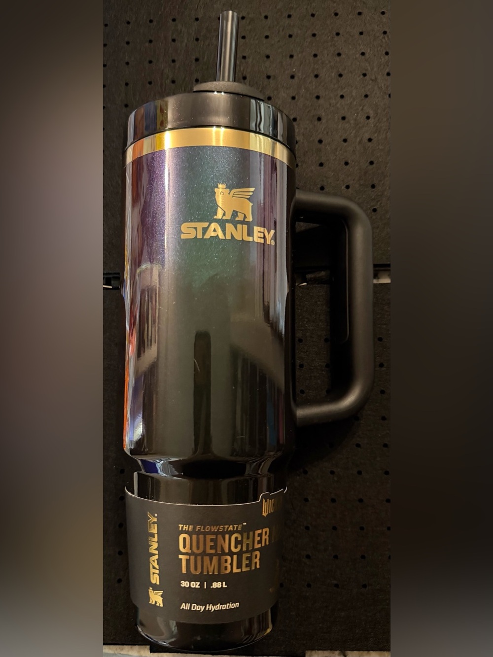 Stanley X Wicked Elphaba 30oz Tumbler